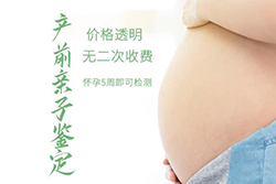 山西省需要怎么做孕期亲子鉴定